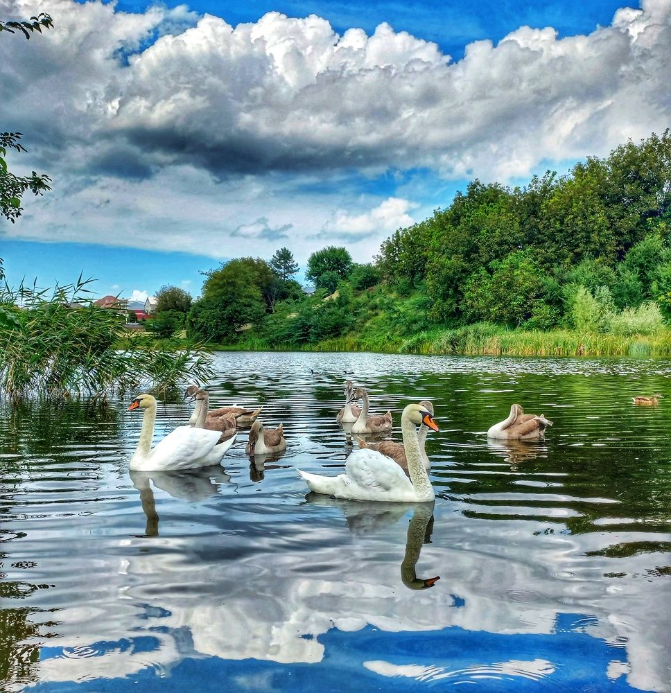 Photograph by Юлия Коробкова