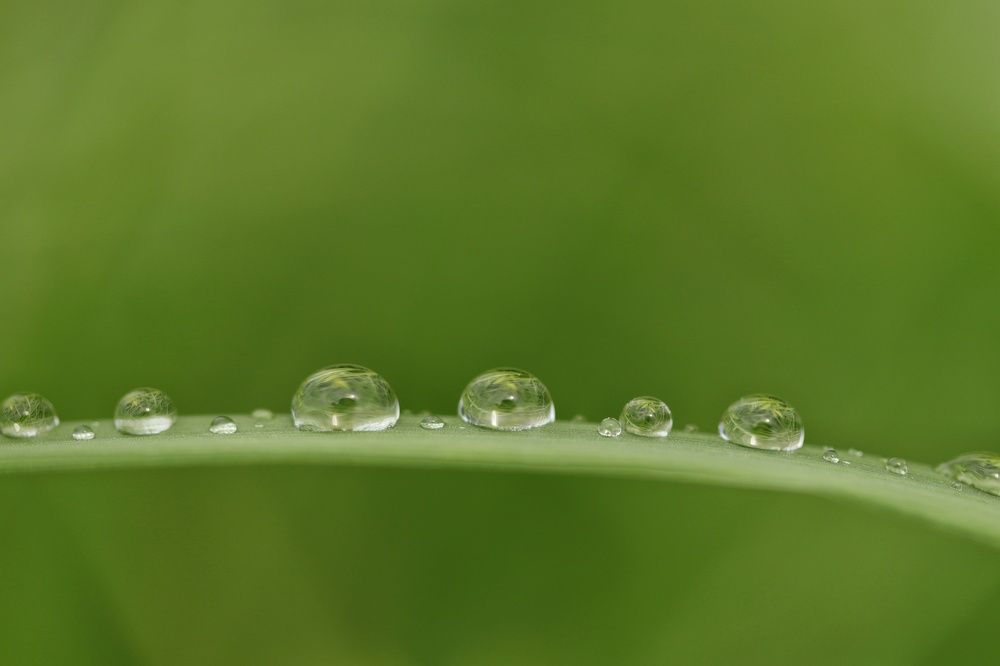 Photograph by Наталья Гайдукевич