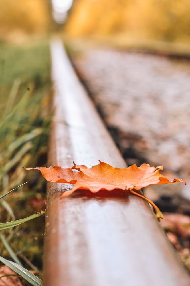 Photograph by Екатерина Цветкова