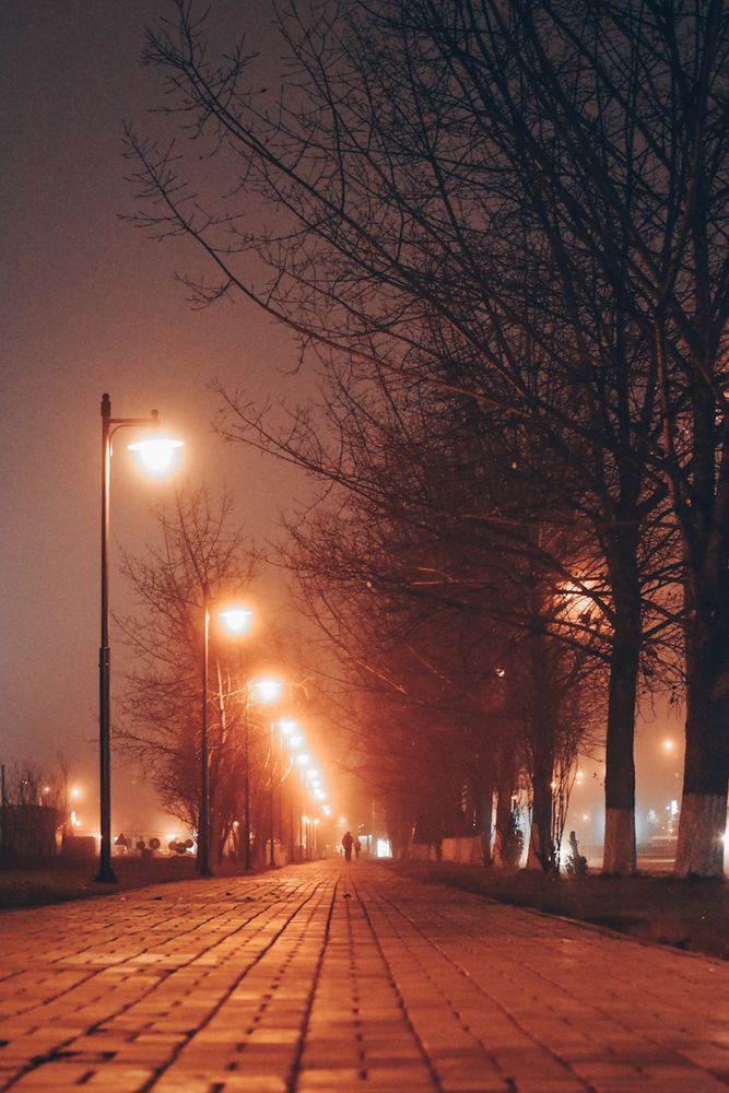 Photograph by Екатерина Цветкова