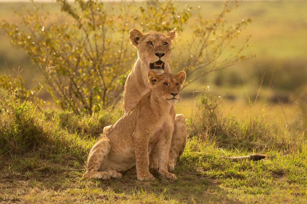 Photograph by Zubair Irshad