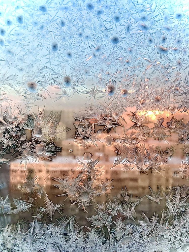 Уют зимнего утра.