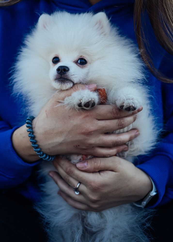 Photograph by Юлия Жукова