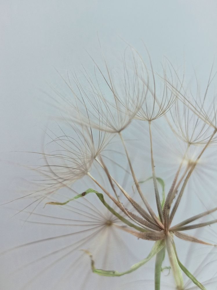 Фотография автора Татьяна Шахова