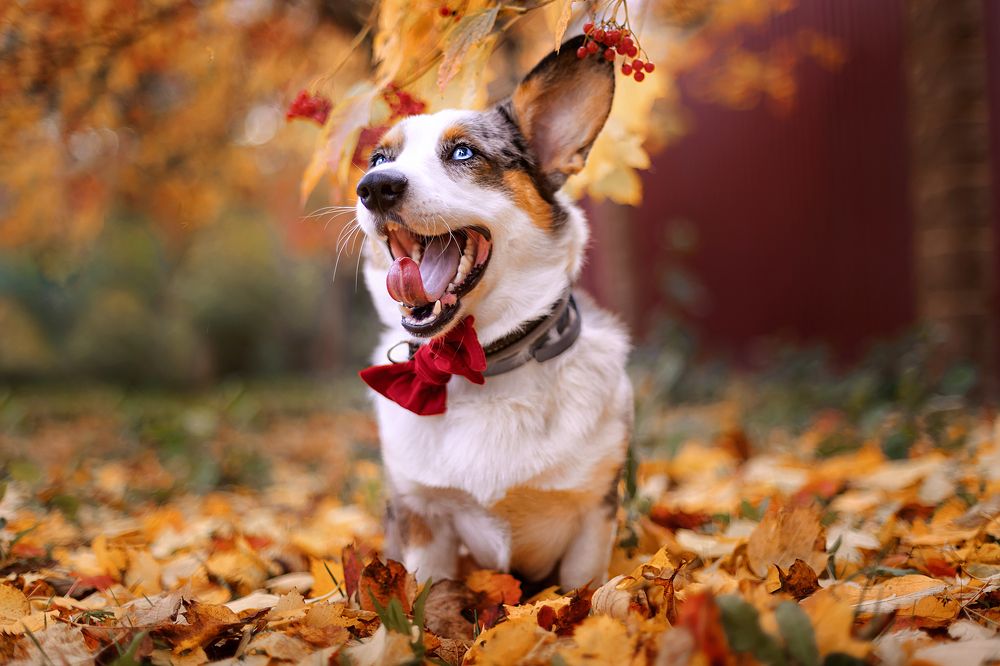 Photograph by Natalia Antipas