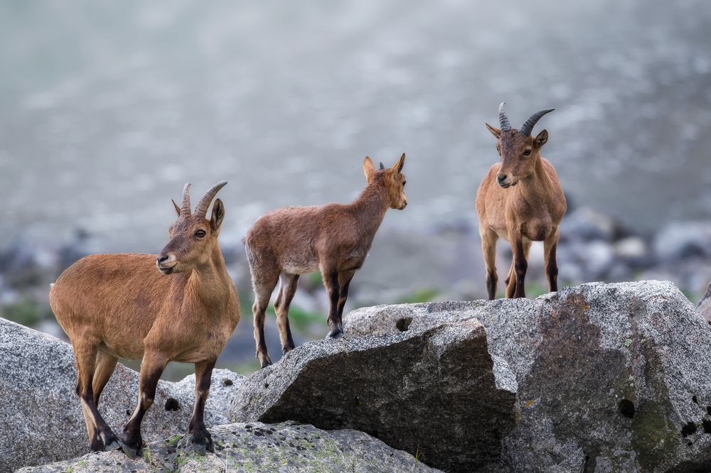 Фотография автора Vyacheslav Lozhkin