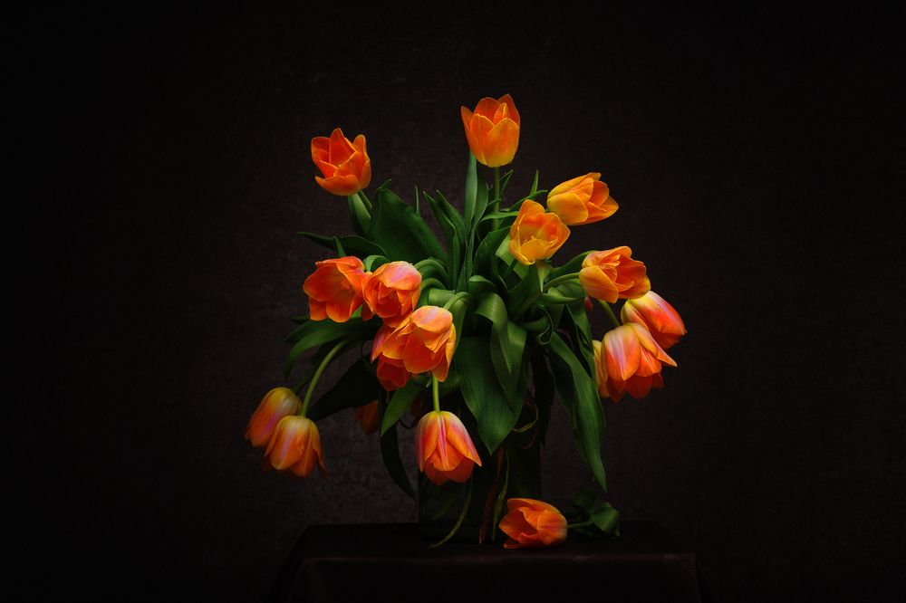 Photograph by Helen Shvets