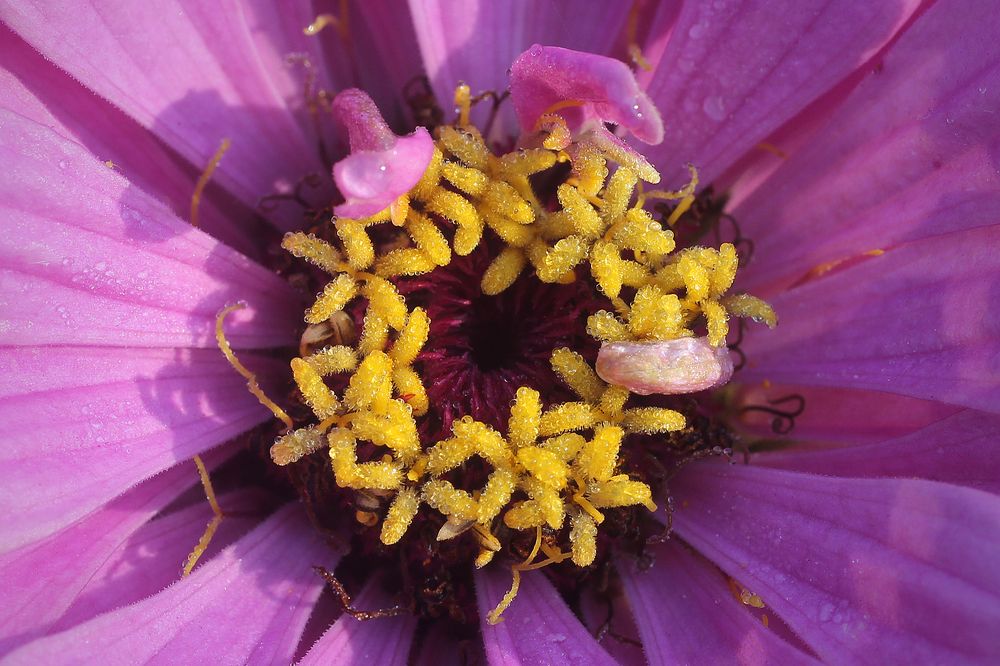 Photograph by Першин Виталий