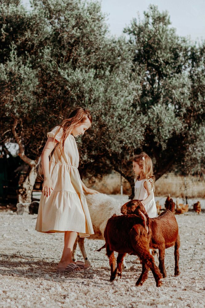 Photograph by Акимова Надежда