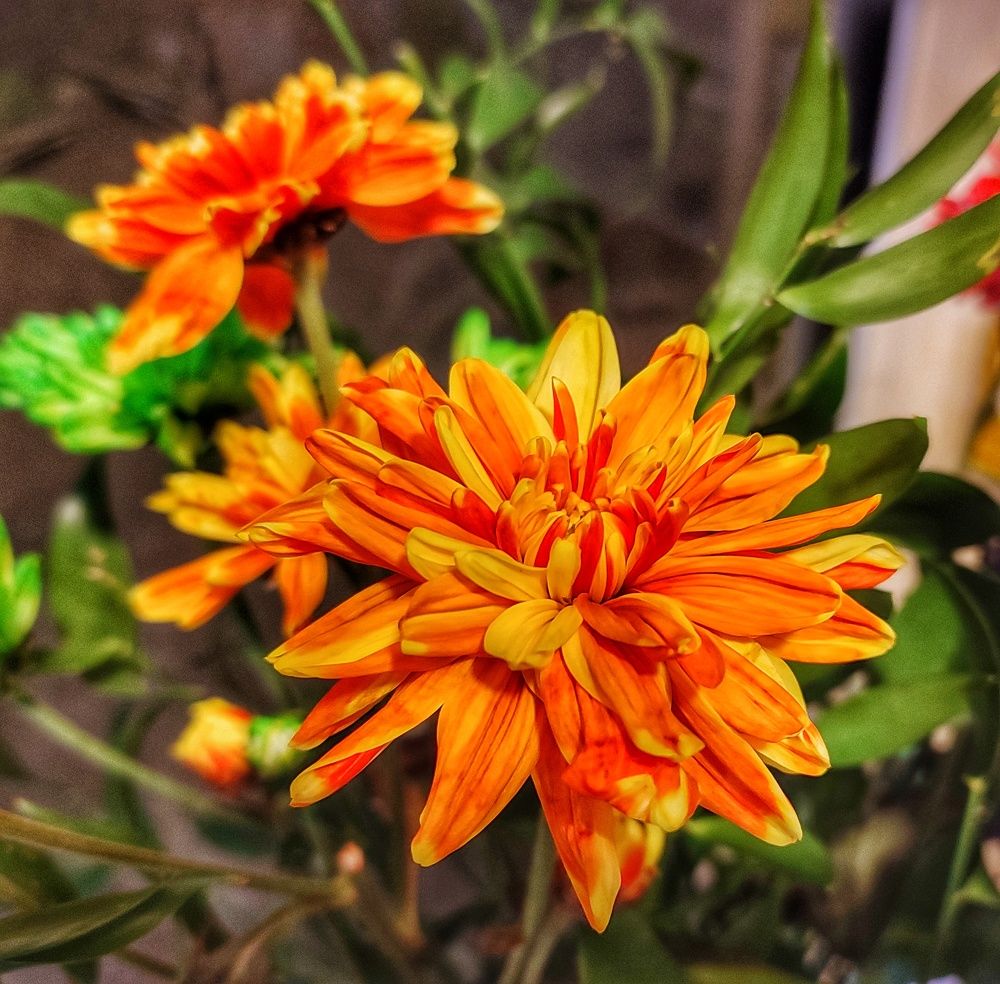 Photograph by Владимир Осипов