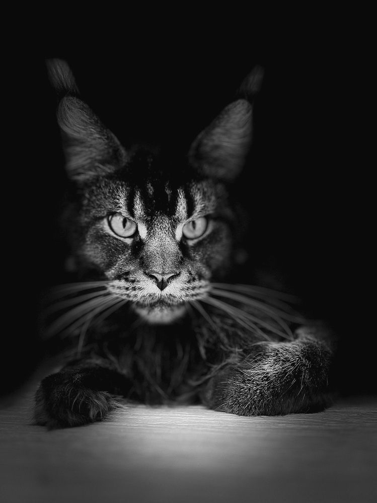 Photograph by Алена Жирова