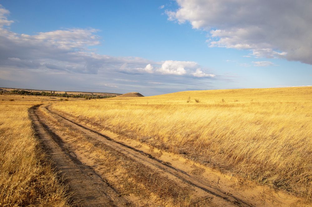 Photograph by Надежда Лисова