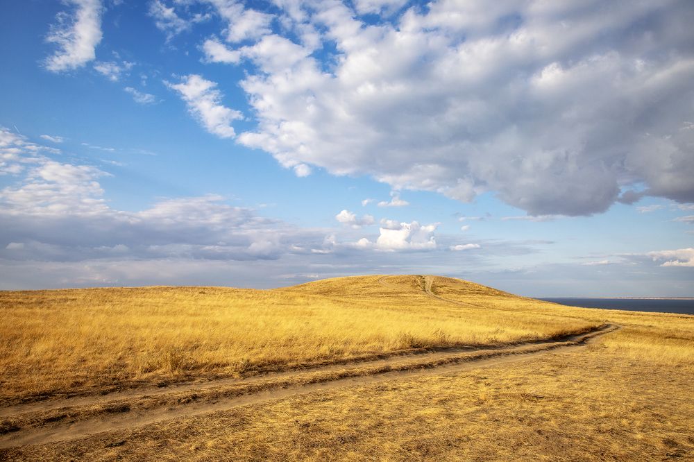 Photograph by Надежда Лисова