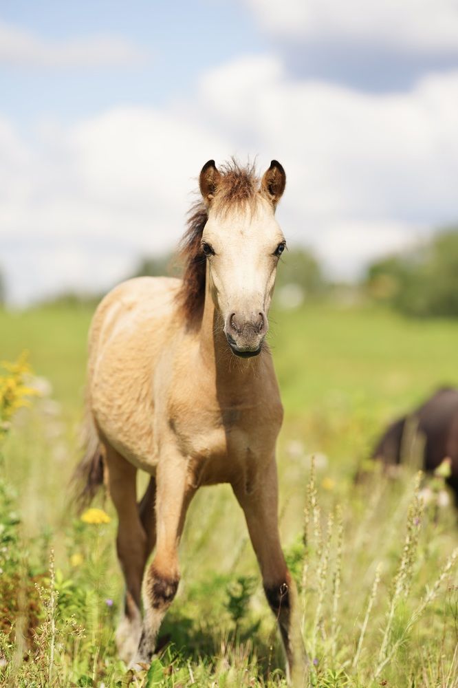 Photograph by Марина Аникина