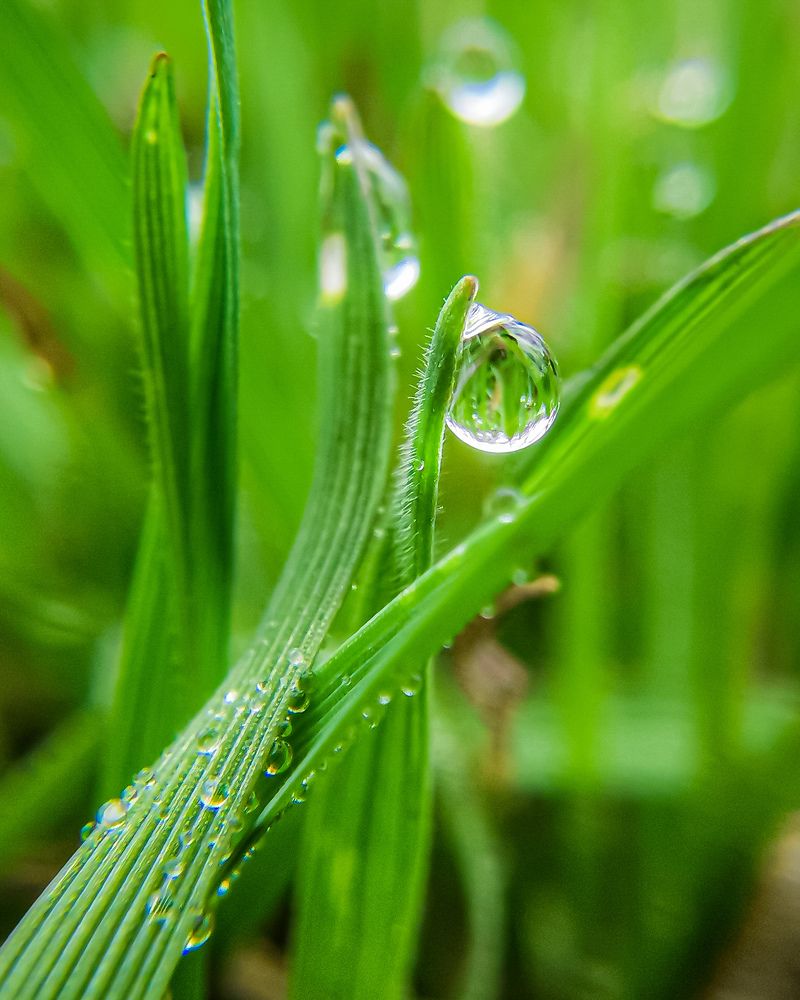 Фотография автора Дмитрий