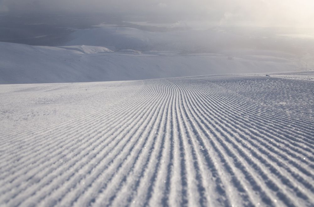 Photograph by Lyudmila Yakovleva