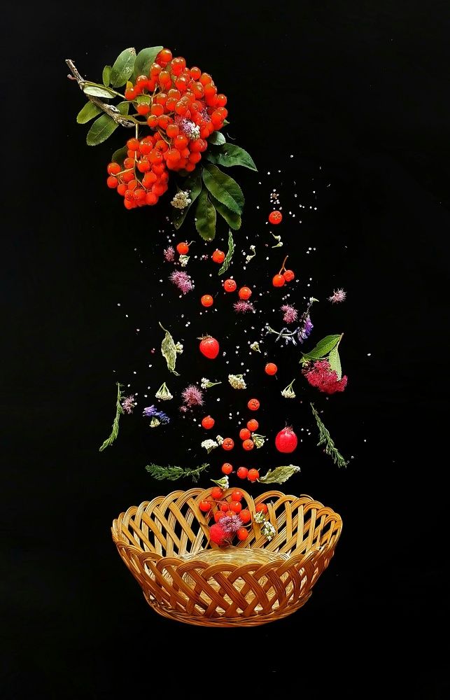 Фотография автора Елена