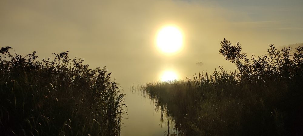 Photograph by Григорий Полосин