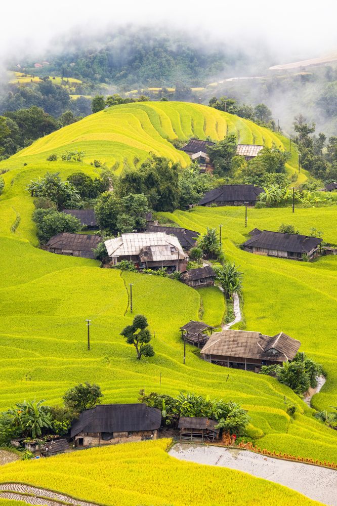 Photograph by Tran Khoa