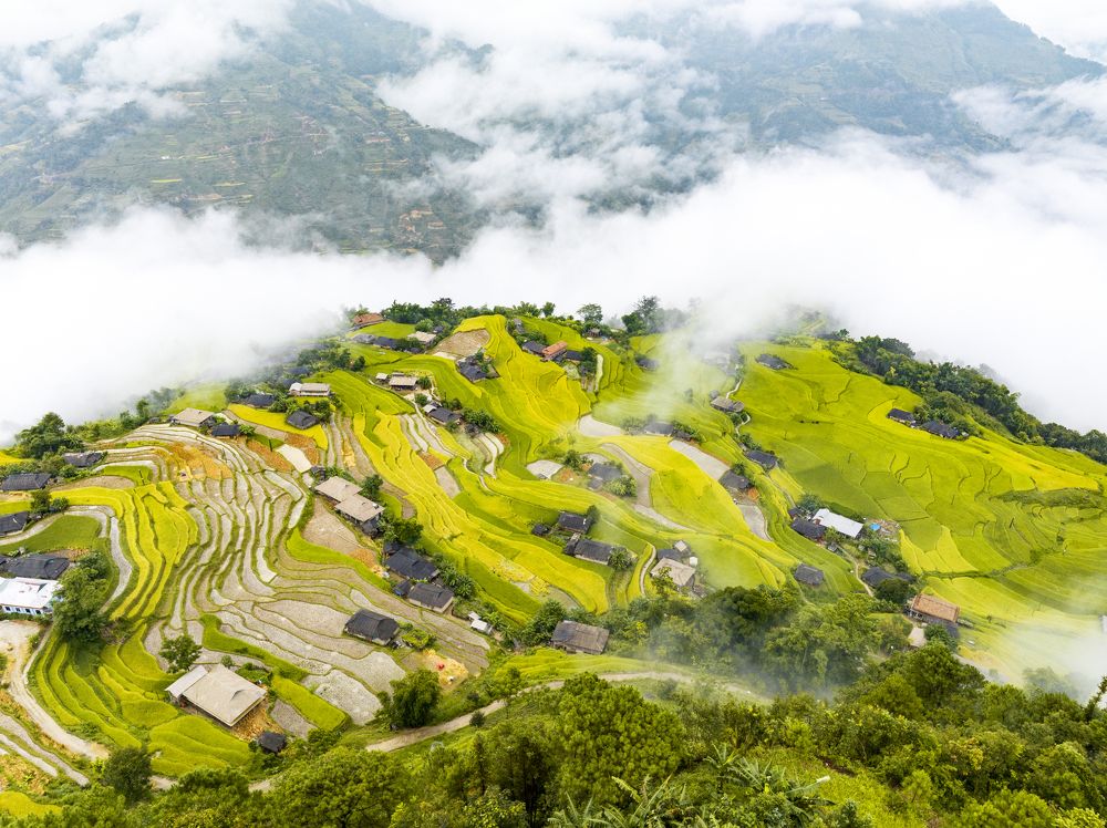 Photograph by Tran Khoa