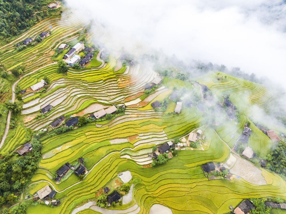 Photograph by Tran Khoa