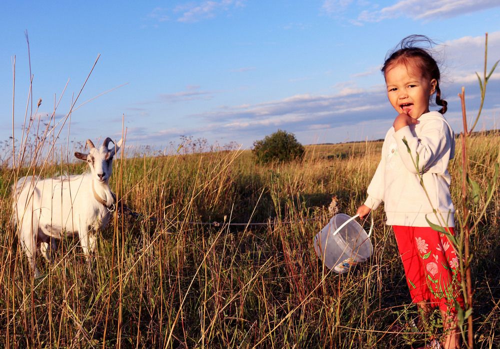 Фотография автора Людмила Иванова
