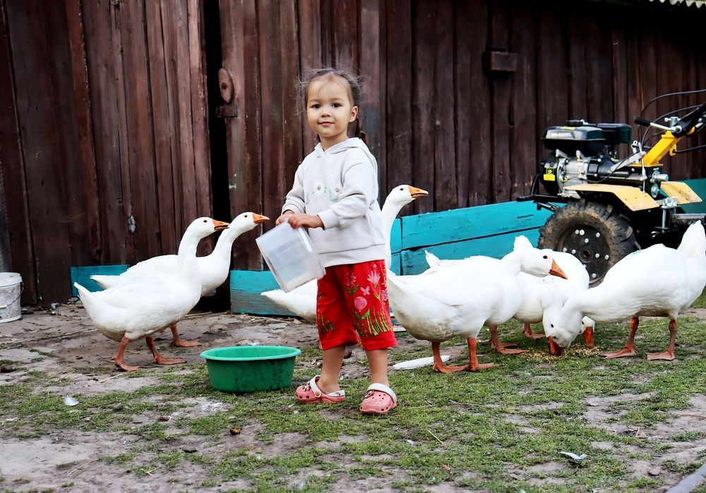 Фотография автора Людмила Иванова