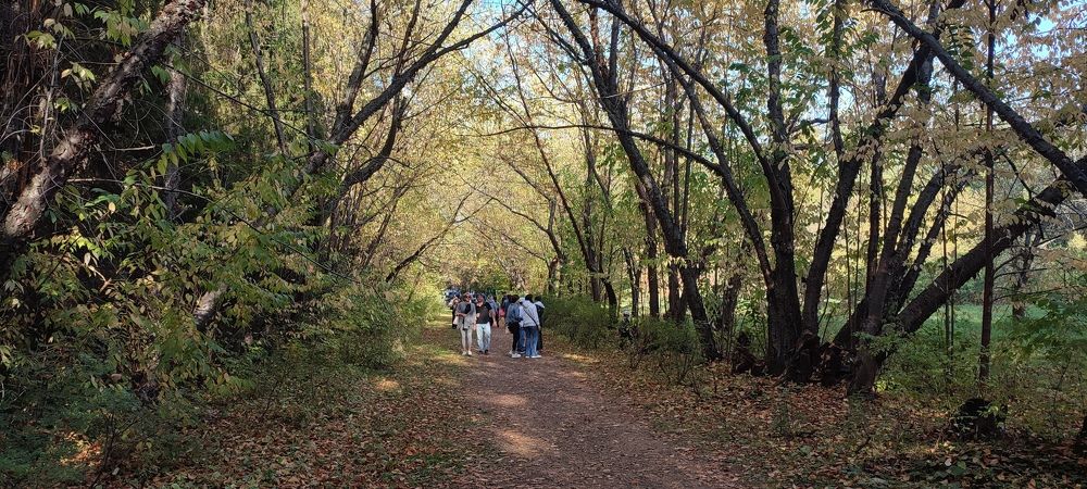 Photograph by Светлана Батурова