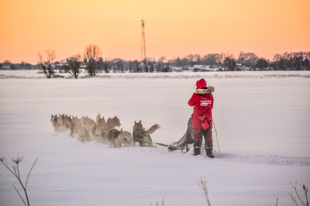 Photograph by Надежда Мякинина