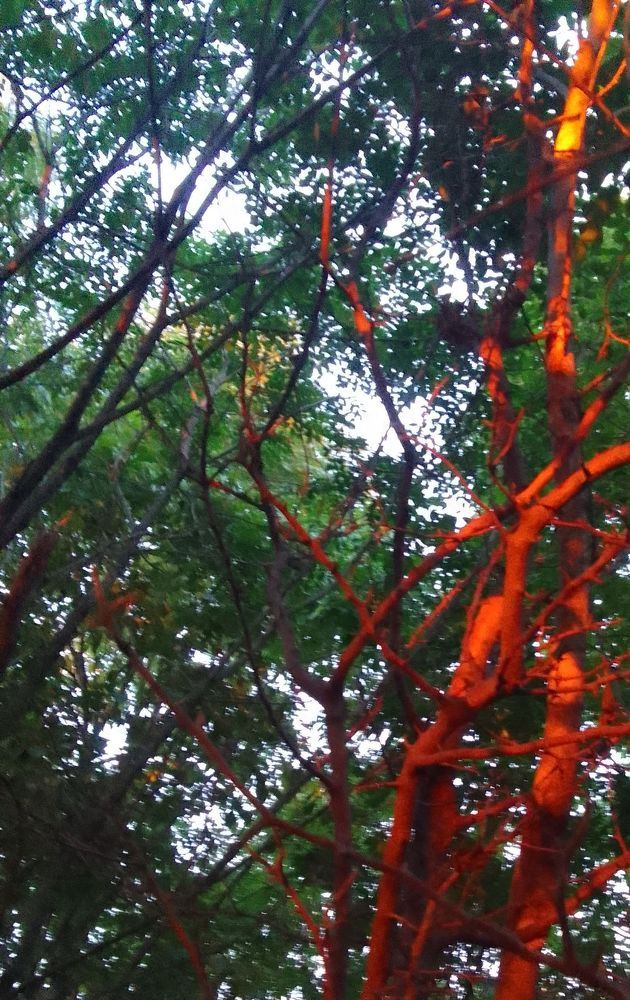 Photograph by Ирина