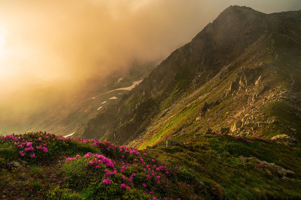 Photograph by Alexandru Pavel