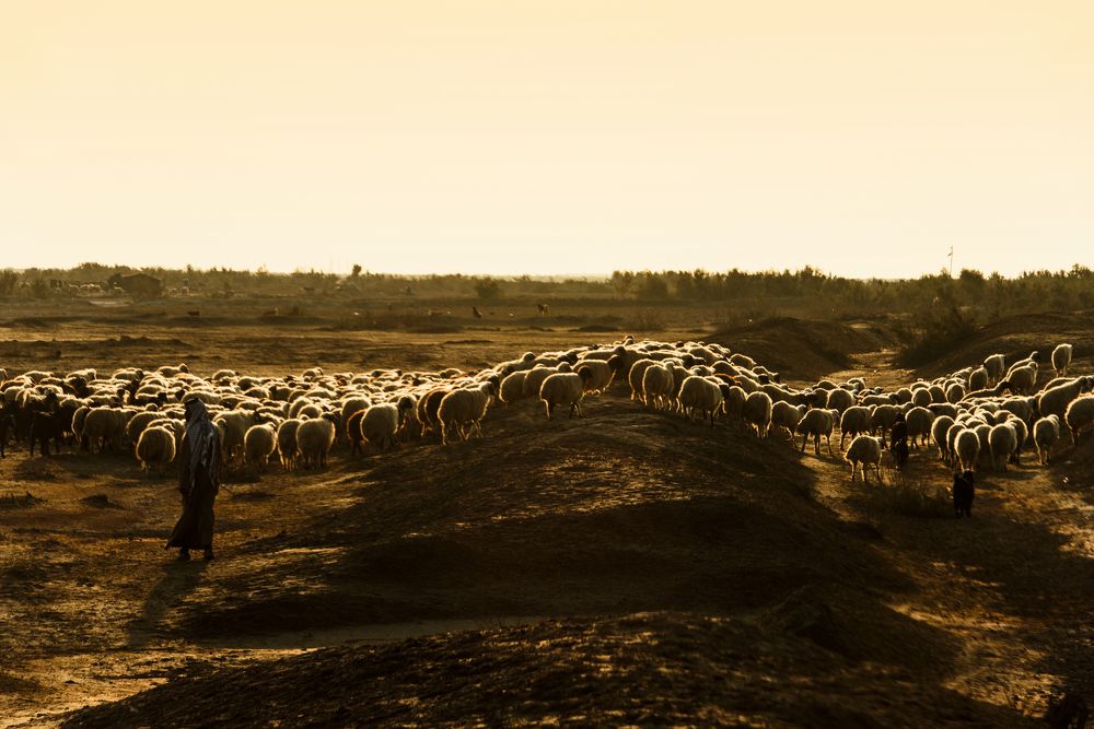 Photograph by hussein