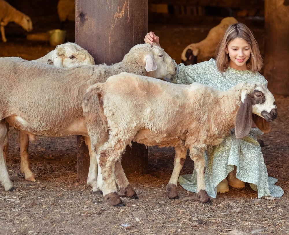 Photograph by Марьям Цимбельман