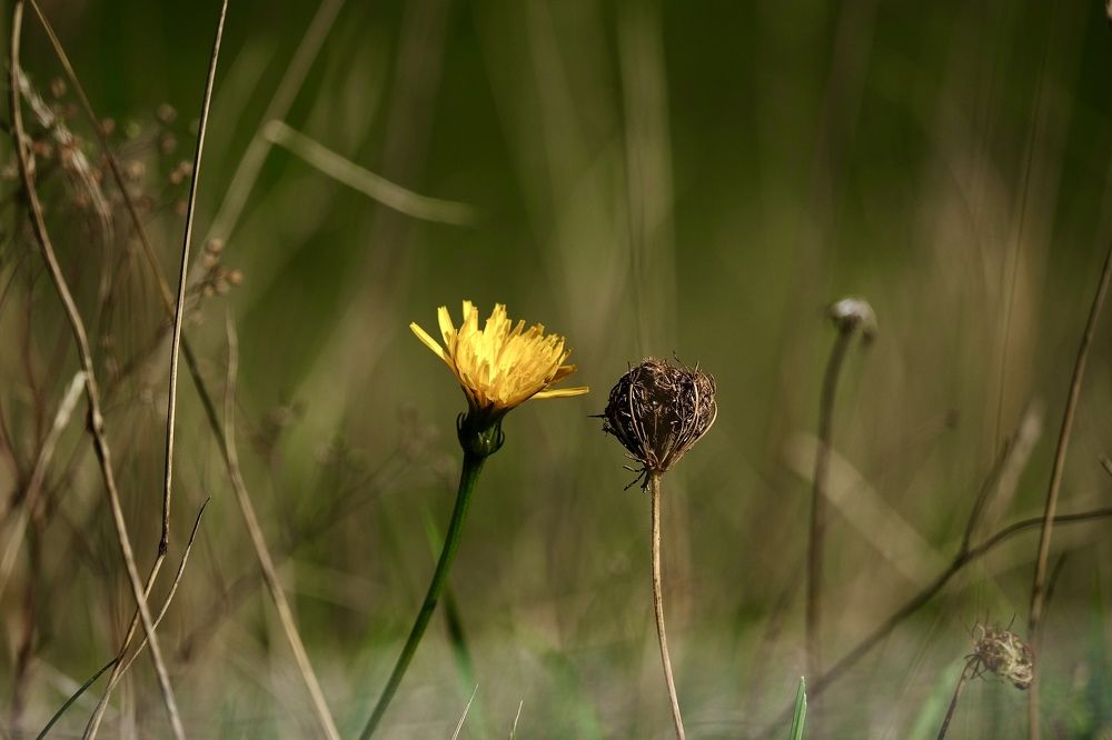 Photograph by Семён Григоренко