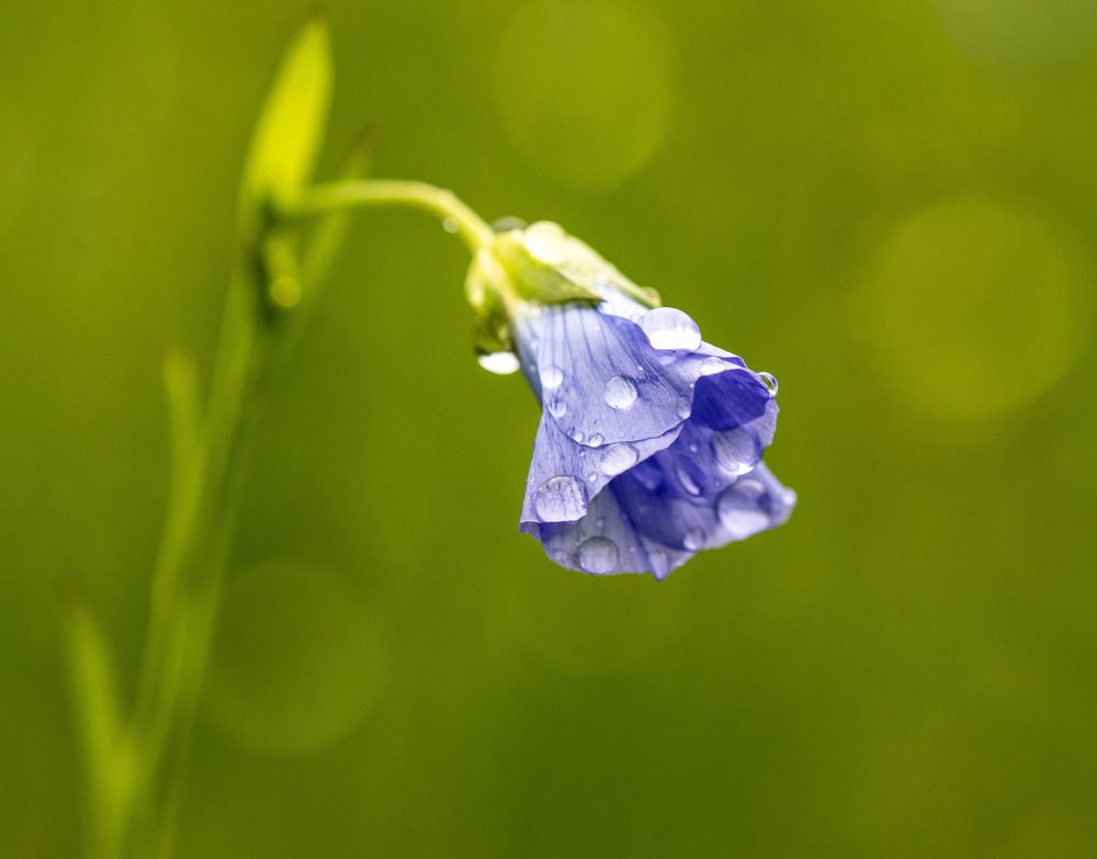 Photograph by Наталья