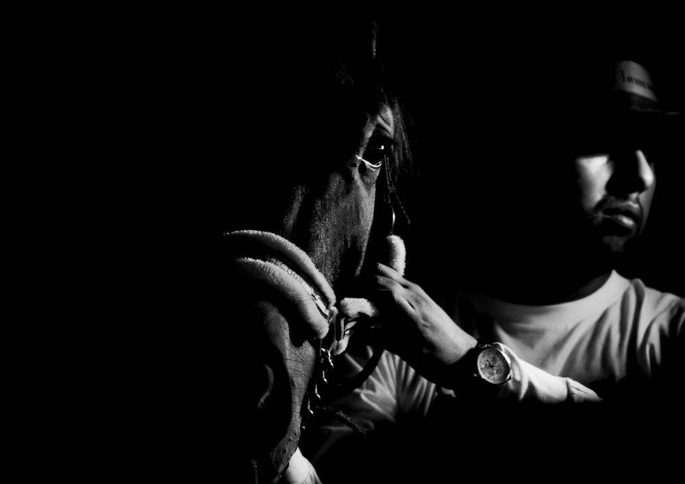 Photograph by hamed farahpour