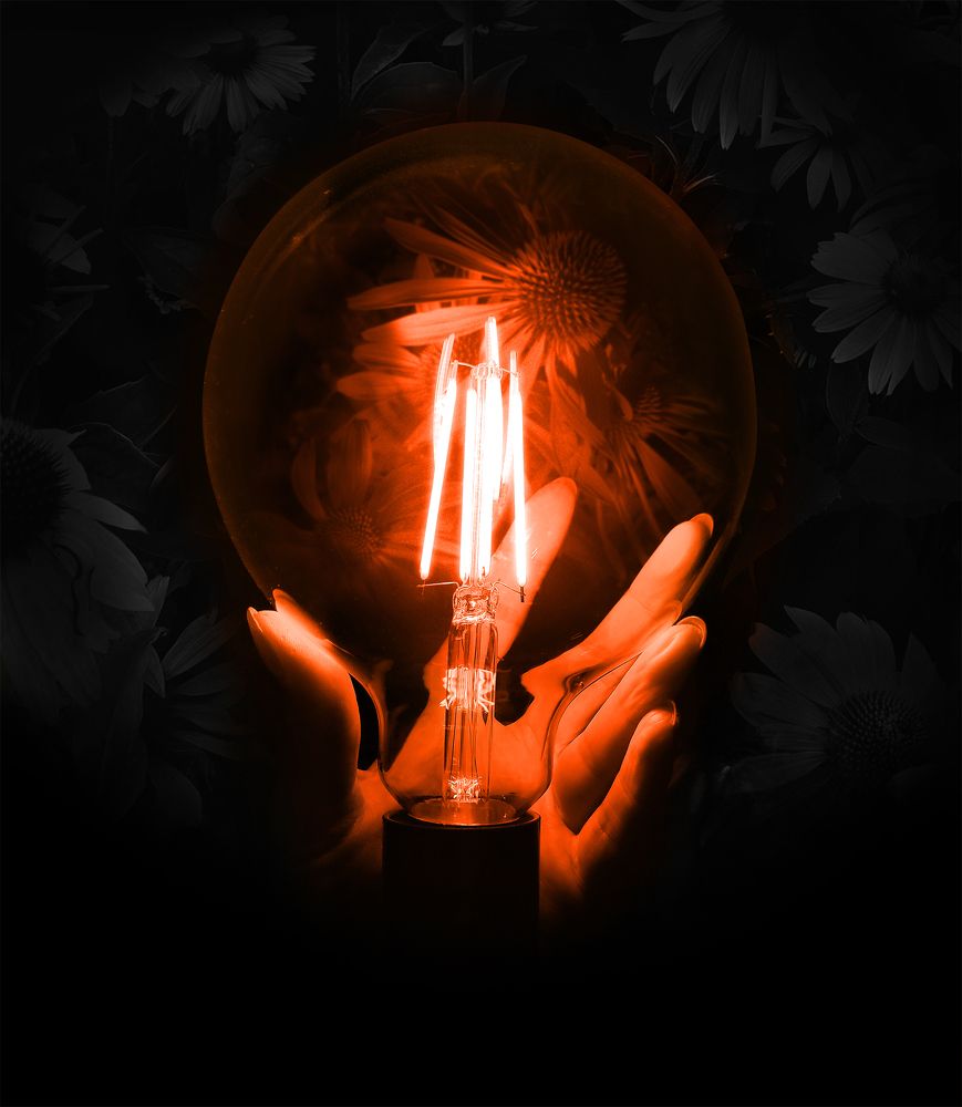 Photograph by Анастасия