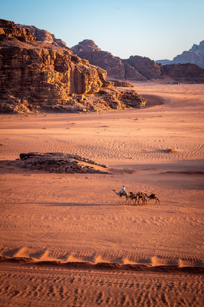 Photograph by Mohammad Al-Amr