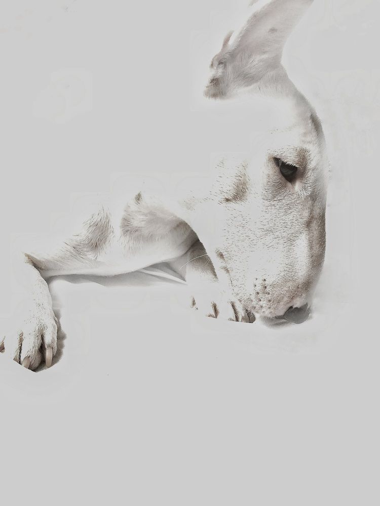 Photograph by Елена Шкред