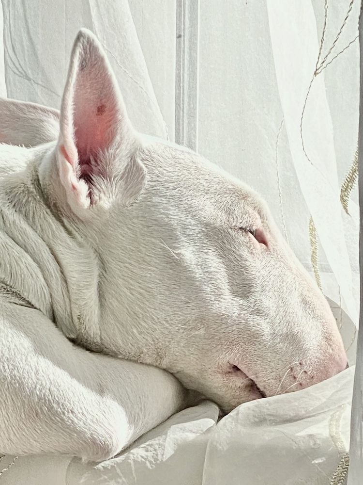 Photograph by Елена Шкред