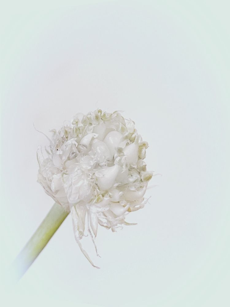 Photograph by Елена Шкред