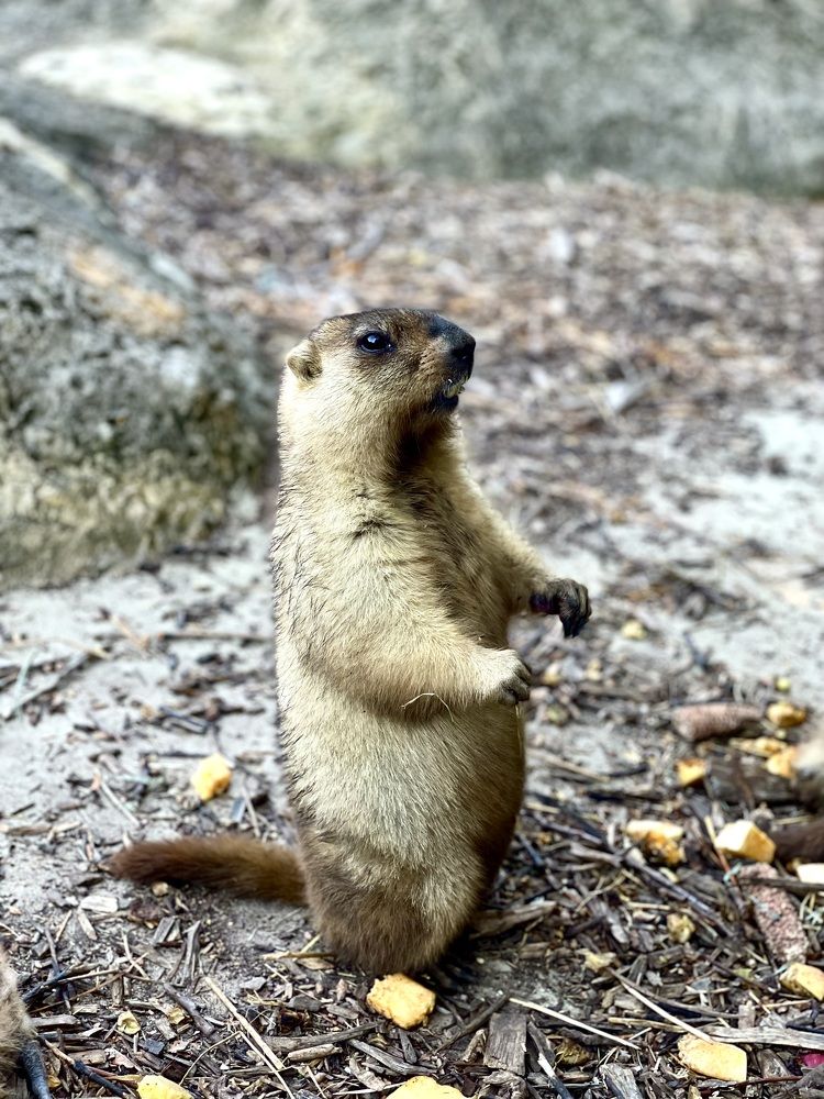 Photograph by Милованова Яна Евгеньевна