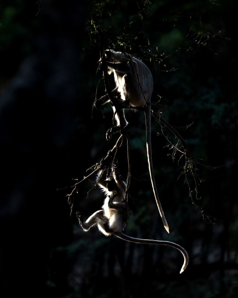 Photograph by tapas acharya