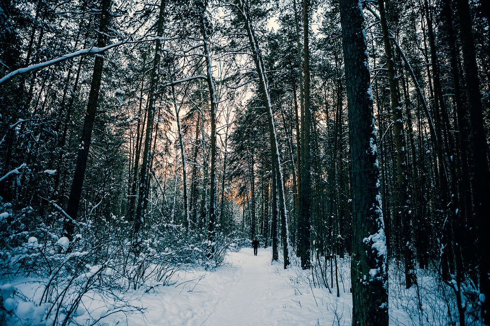 Photograph by Ivan Osipov