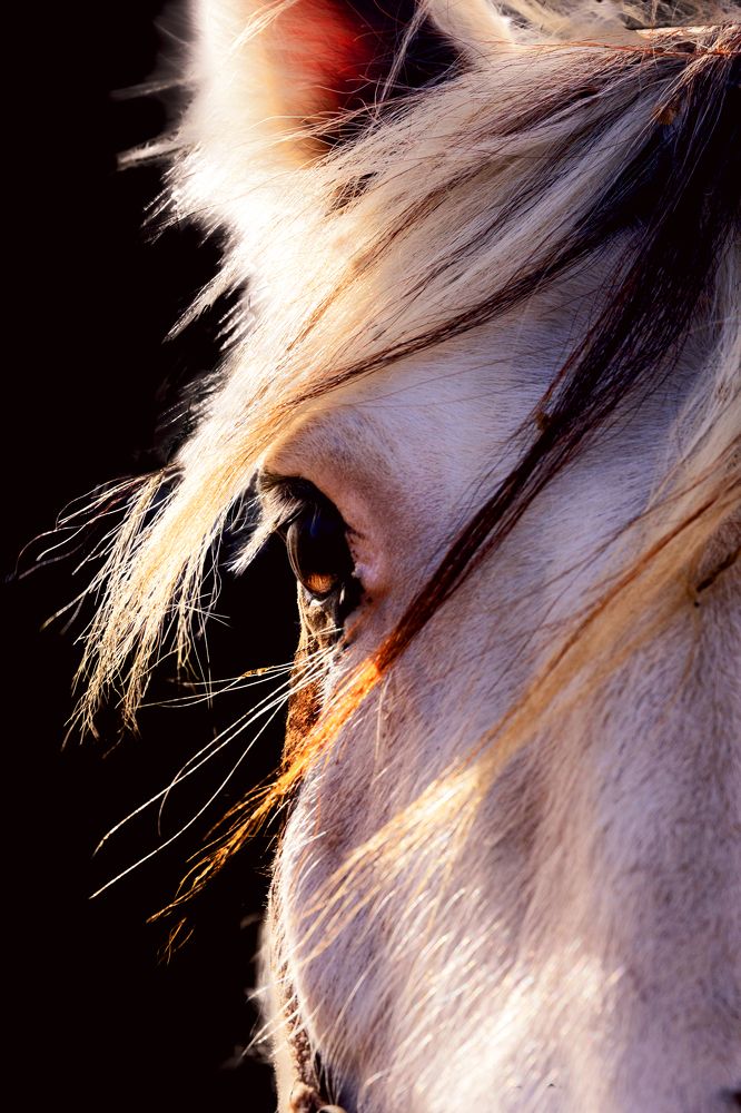 Photograph by Ivan Uhov