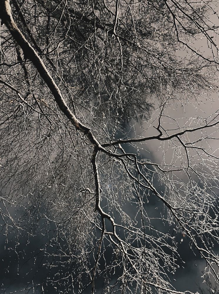 Photograph by Людмила Дорошева