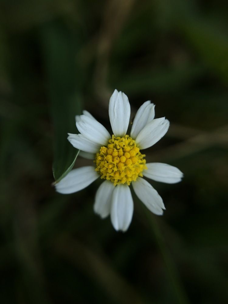 Photograph by Яна Цицилашвили