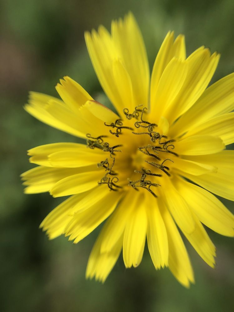 Photograph by Яна Цицилашвили