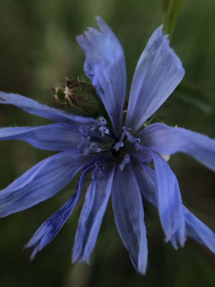 Photograph by Яна Цицилашвили