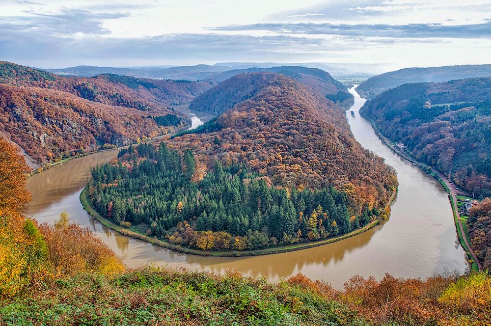 Петля Саара